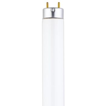 15 Watt T8 Linear Fluorescent Cool White with Medium BiPin Base