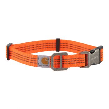 Carhartt Dog Collar, Hunter Orange / Brushed Nickel, Large
